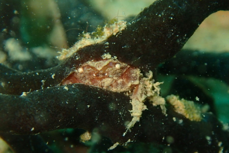 b0100730_2011356.jpg
