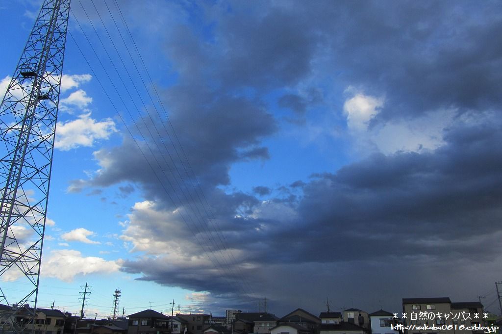 e0052135_17215252.jpg