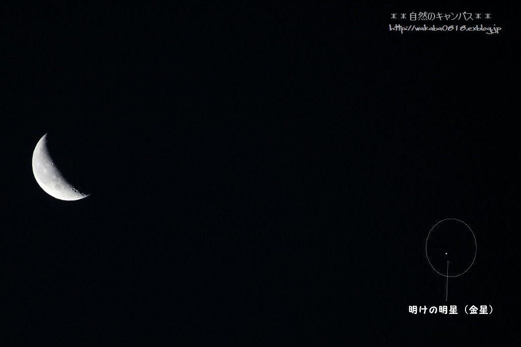 e0052135_17220752.jpg