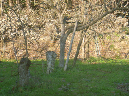 b0246036_1114346.jpg