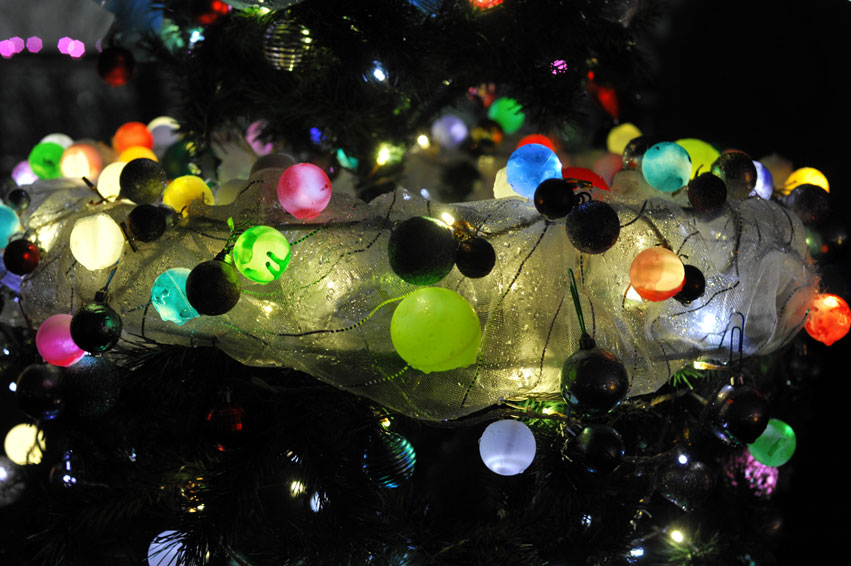 b0075541_12531411.jpg