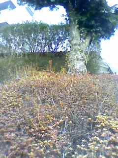 e0150843_02924.jpg