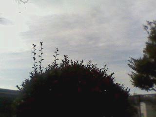 e0150843_029259.jpg