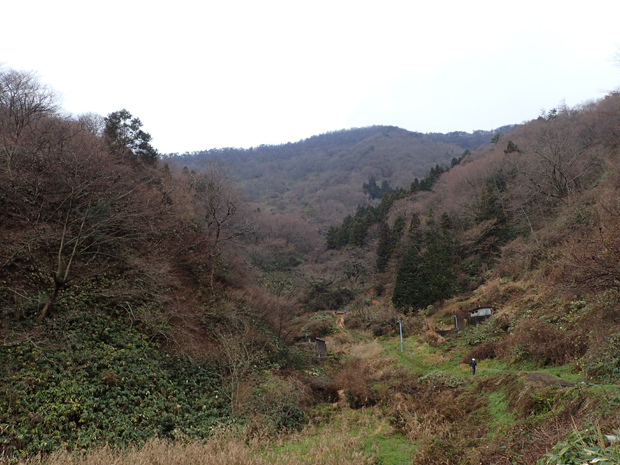 f0214649_622435.jpg