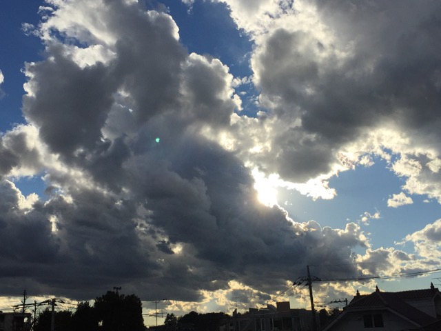 c0008664_2324467.jpg