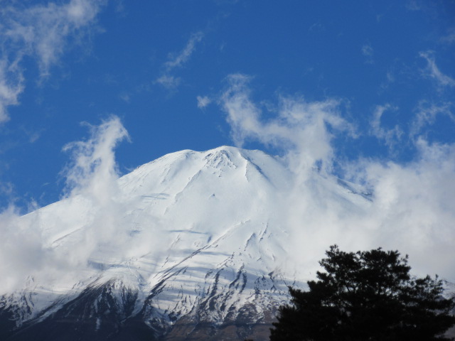 d0109373_20265088.jpg