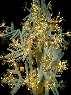 f0215580_1405931.jpg