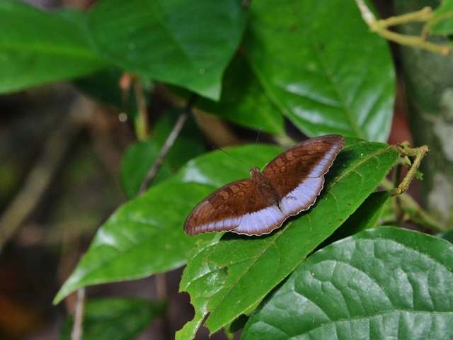 f0310988_14415771.jpg