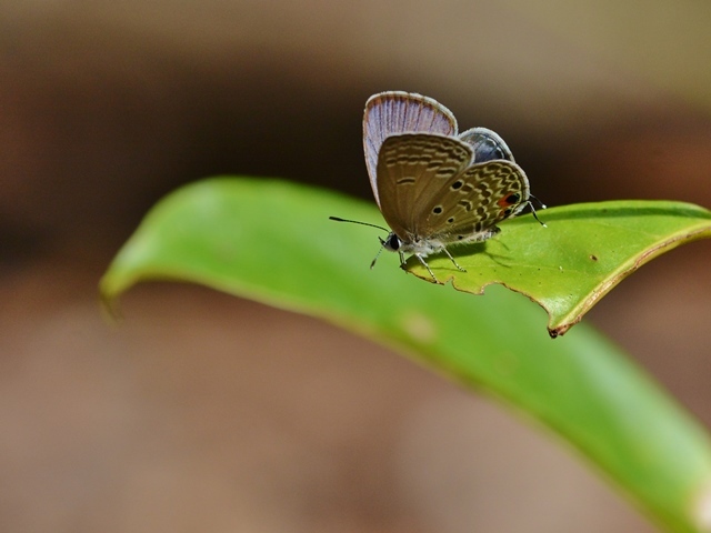 f0310988_14422083.jpg