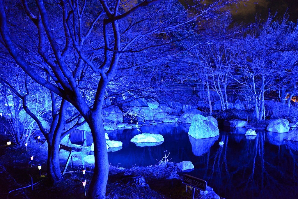 d0288500_08243022.jpg