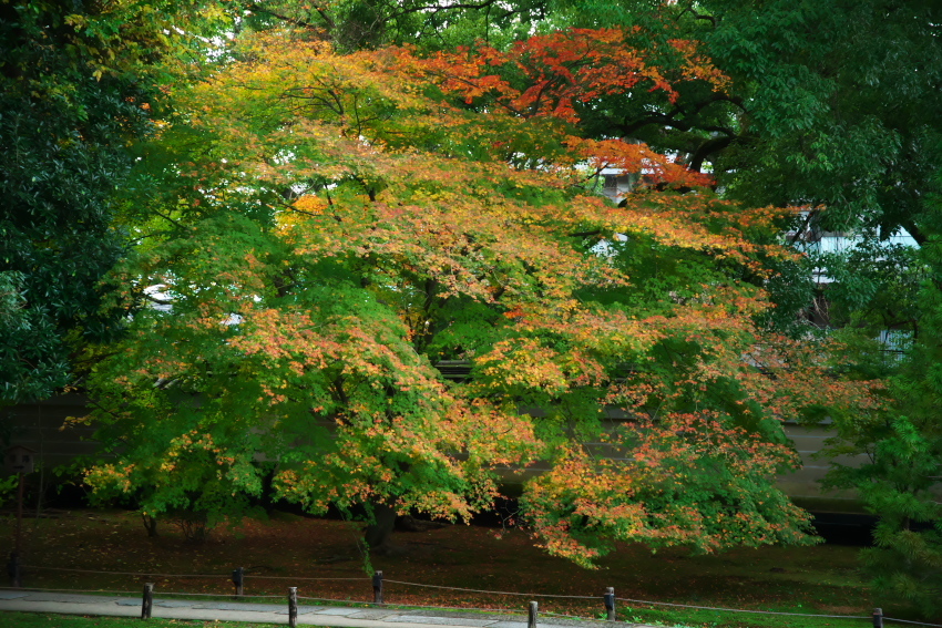 a0263109_18514927.jpg