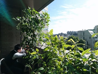 d0091909_13483881.jpg