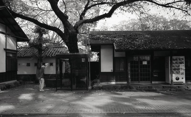 d0339617_09321651.jpg