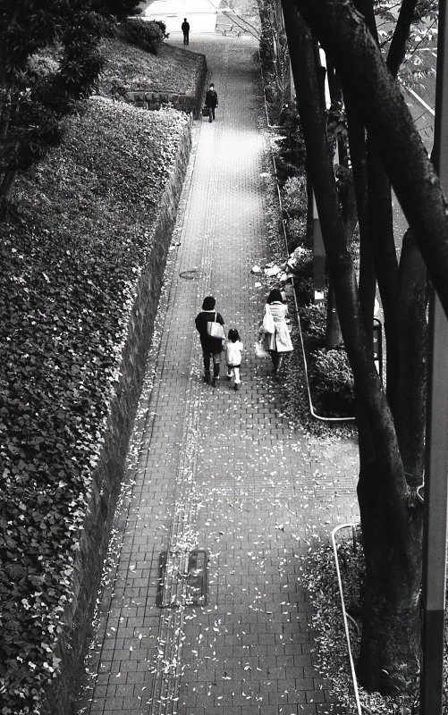 d0339617_09442070.jpg