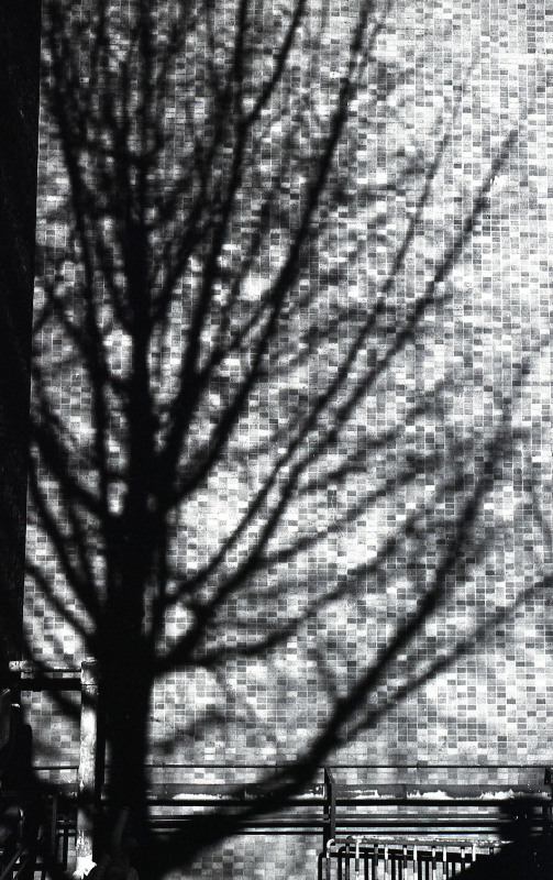 d0339617_10003238.jpg