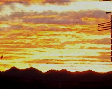 f0191517_823552.jpg