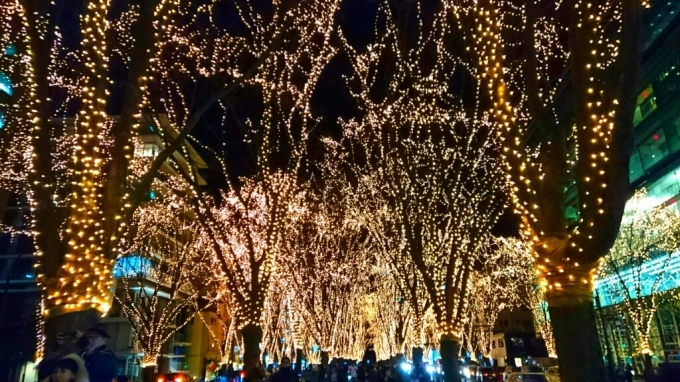 c0229025_11164650.jpg