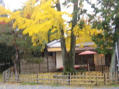d0162225_00092818.jpg