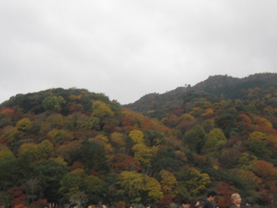 d0162225_00350726.jpg