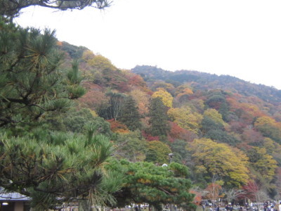 d0162225_00353085.jpg