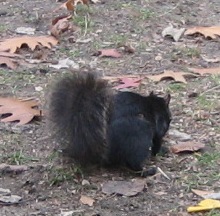 f0157327_121149.jpg