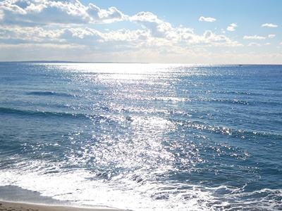 e0033229_1735527.jpg