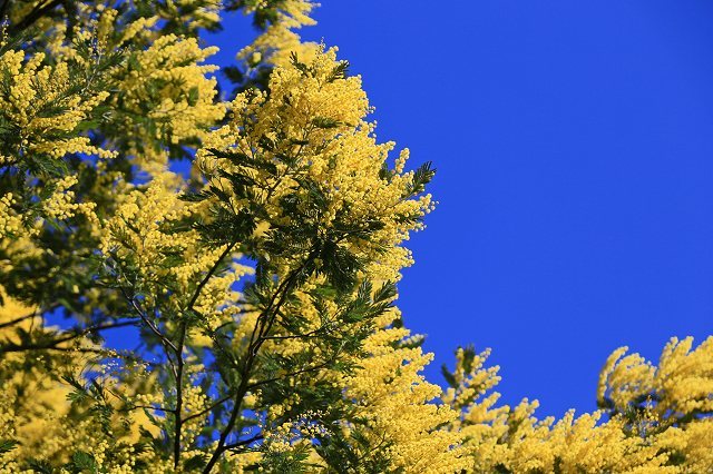 a0242438_17475061.jpg
