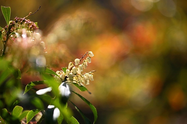 a0242438_17500428.jpg