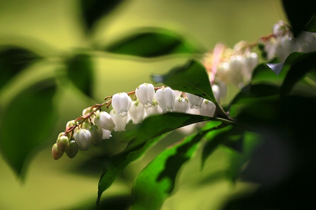 a0242438_17500528.jpg
