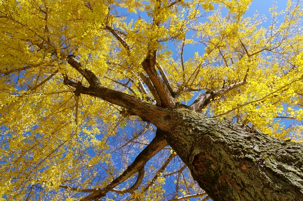 c0281841_12301613.jpg