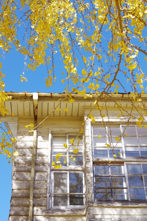 c0281841_12304841.jpg