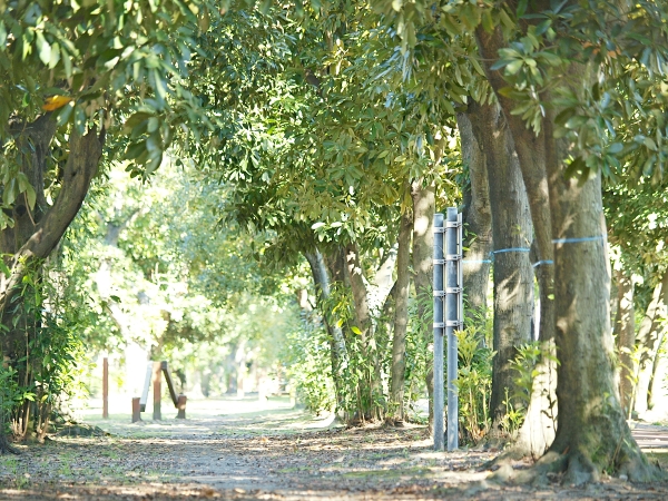 c0281841_14462628.jpg