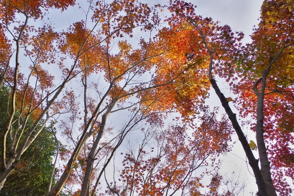 c0281841_16292470.jpg