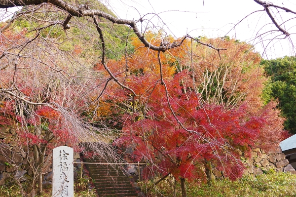 c0281841_1629835.jpg