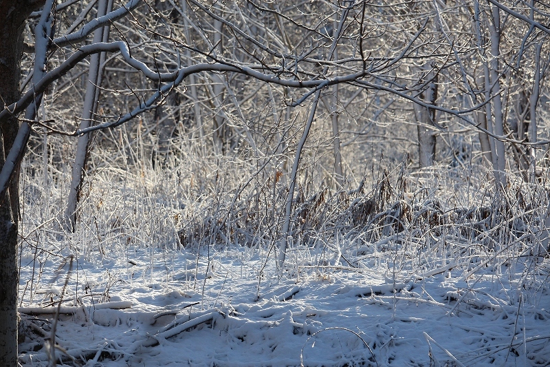 b0250154_16513401.jpg