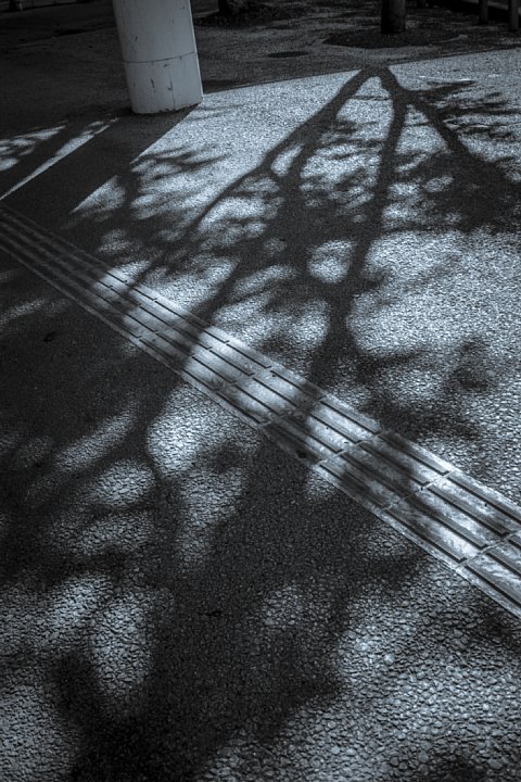 b0175964_23232497.jpg