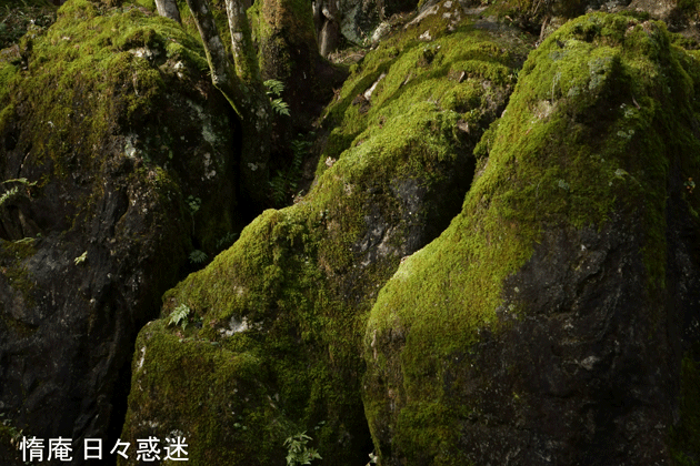 e0346064_19284950.gif