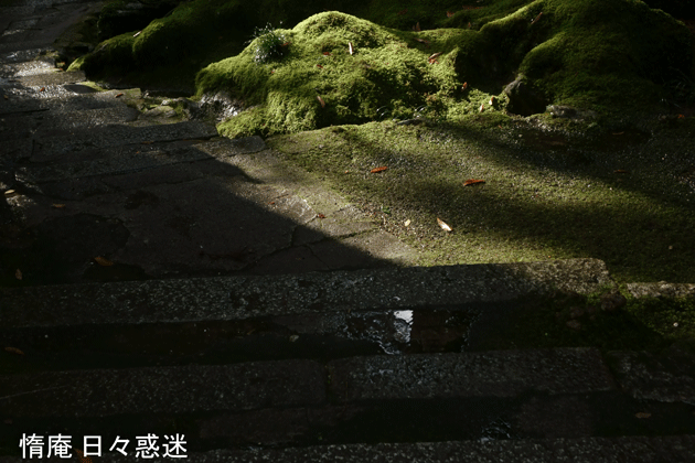 e0346064_19285230.gif