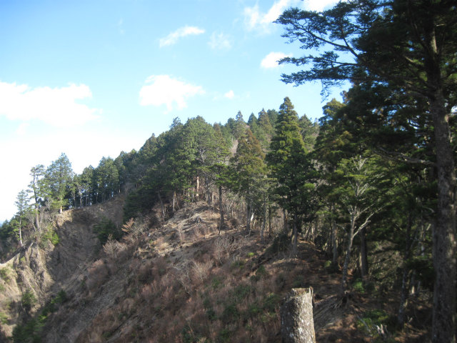 c0219866_18131436.jpg