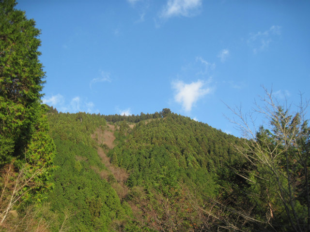 c0219866_1824258.jpg