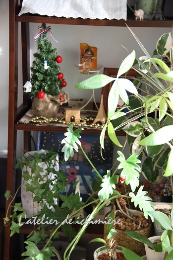 f0200568_15330790.jpg