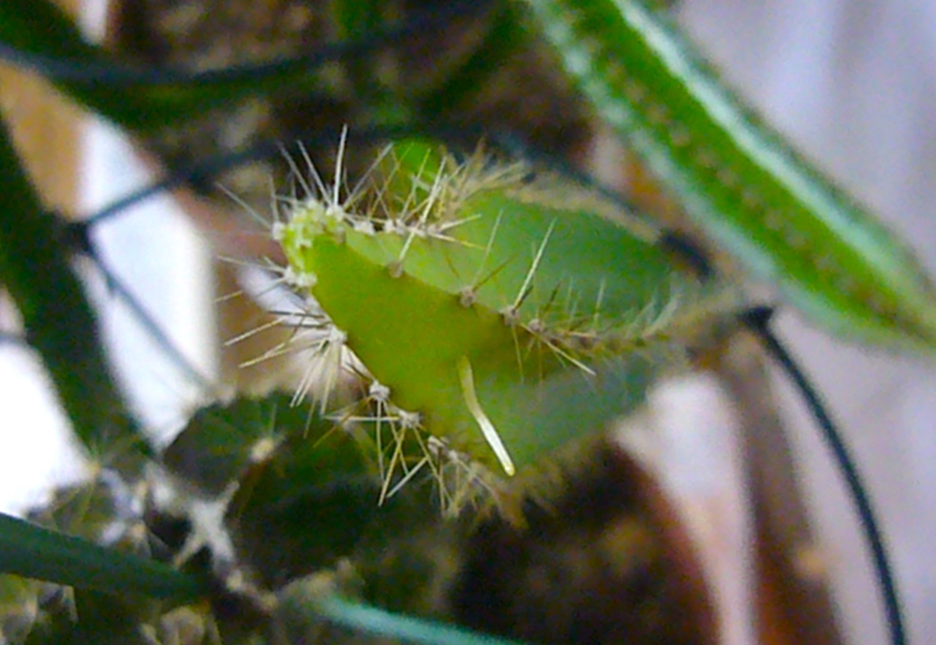 b0025169_23082398.jpg