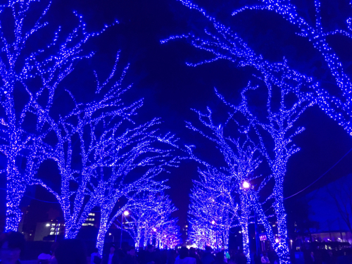 b0306876_00351158.jpg