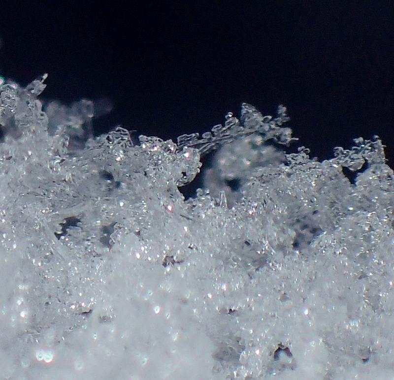 c0183777_838778.jpg