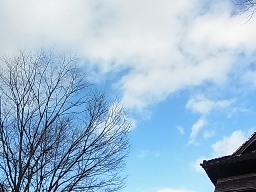 e0155085_18101267.jpg