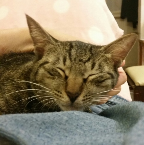 e0144012_02445710.jpeg