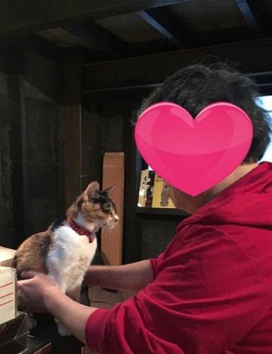 e0144012_03203860.jpeg