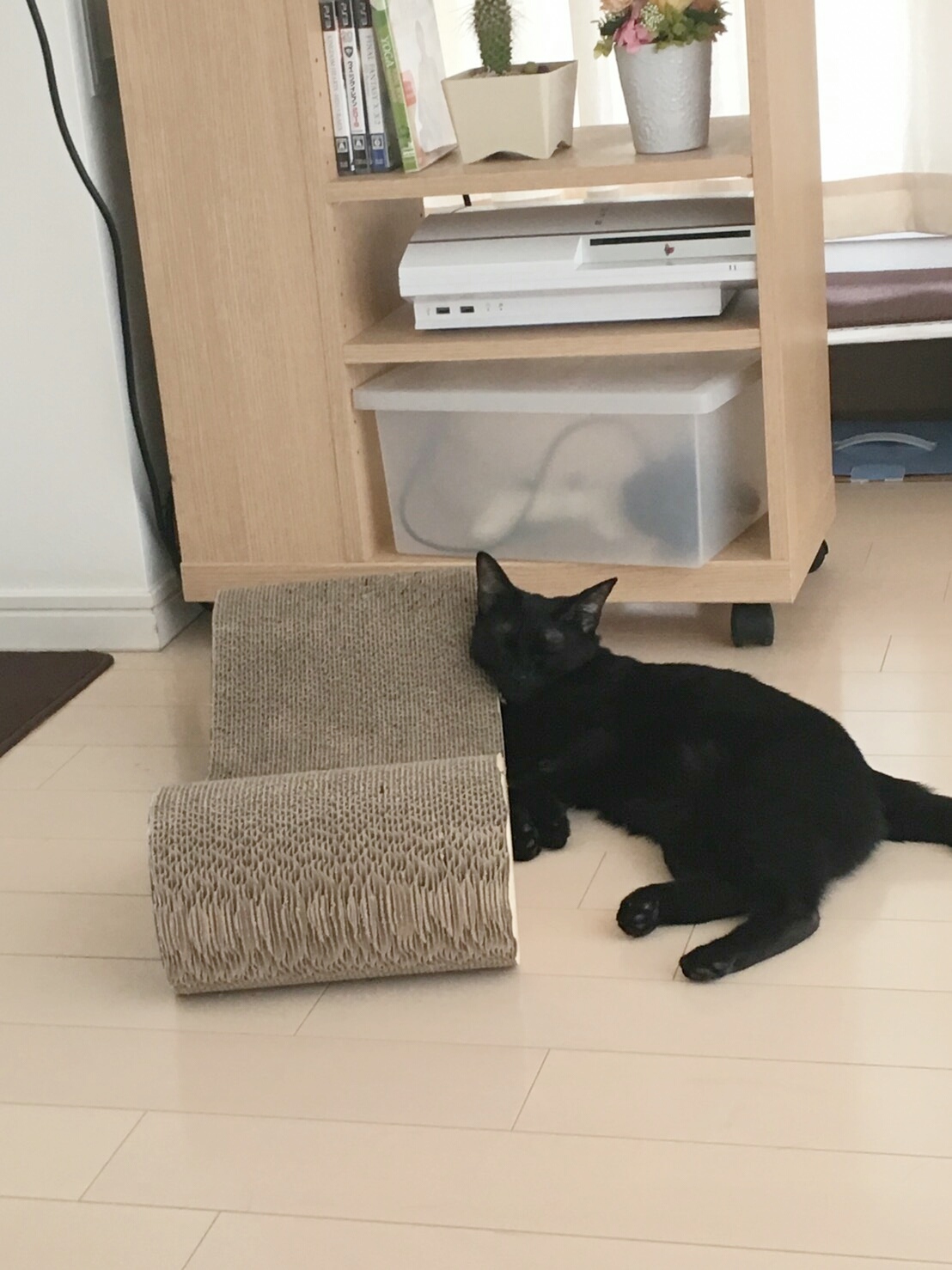 e0144012_03220249.jpeg