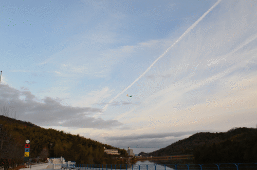 f0191517_9265590.gif