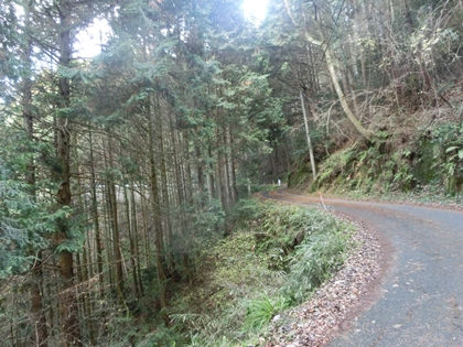 a0105023_21463223.jpg